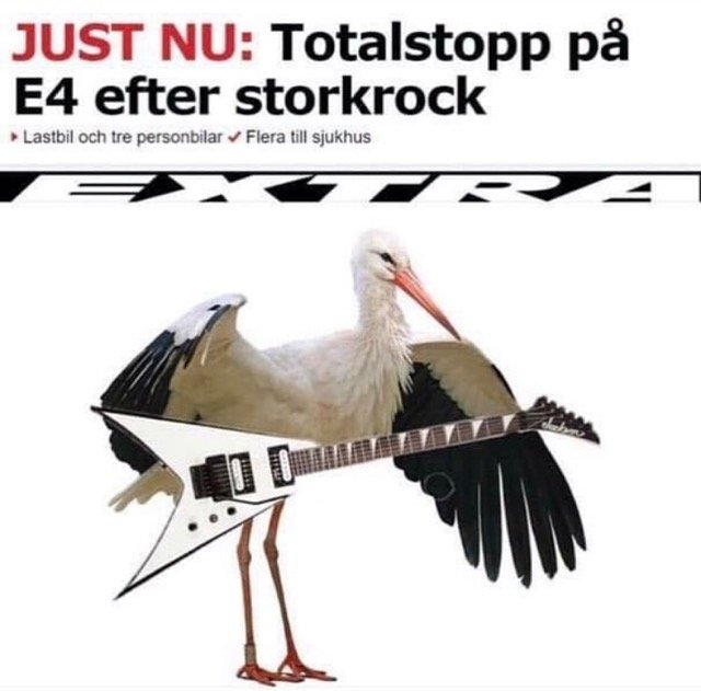 Illustration av en stork med en elektrisk gitarr som kropp i en humoristisk ordlek på "storkrock".