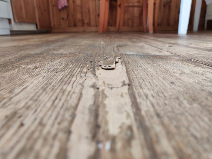 Trägolv med skador, målarfärgsfläckar och stora springor i en villa från 1890-talet.