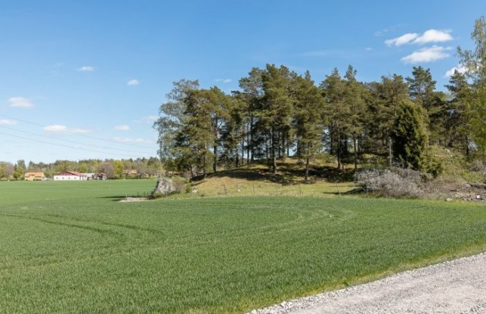 Öppen grön fältmark med en liten skogsdunge och klarblå himmel, medelhavsnära bostadshus i bakgrunden.