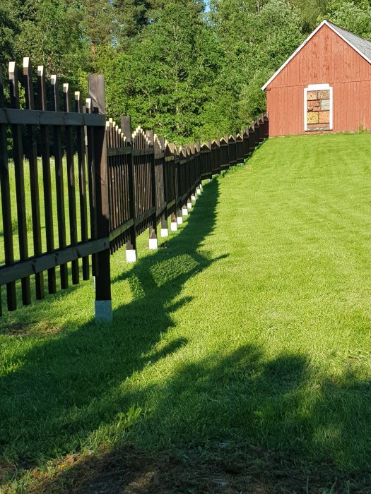 Nymålat svart spjälat staket intill en grön gräsmatta med en röd stuga i bakgrunden.