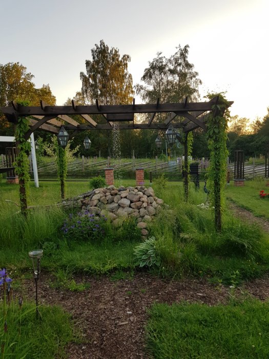 Trädgård med pergola övergång med börjande vildvin och stenformation, omgiven av gröna växter.