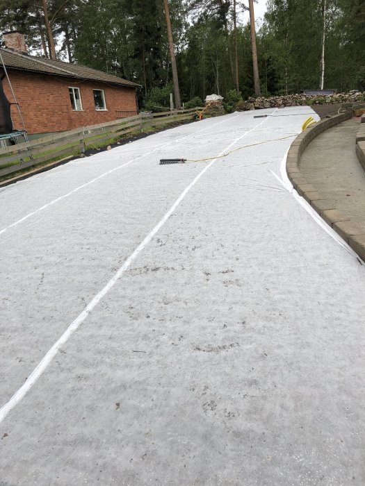 Nysådd framsida av hus med vit fiberduk och gula bevattningsslangar, i en trädgård.