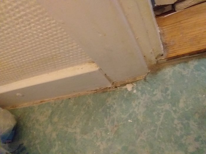 20190614_194523.jpg