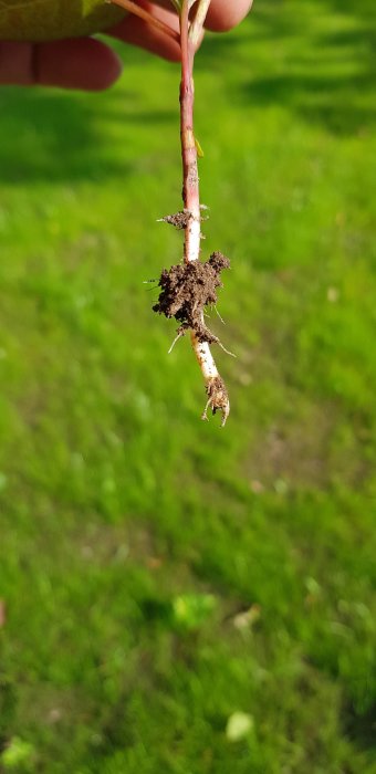 20190615_085720.jpg