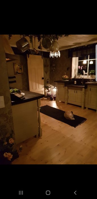 Renoverat kök med hängande kastruller, köksö och hund på matta i ett hemtrevligt och välbelyst rum.