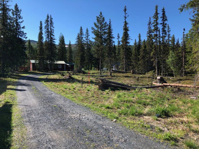 En landsväg som leder till en stuga i ett skogsområde med material utspritt på marken i förberedelse för byggnation.