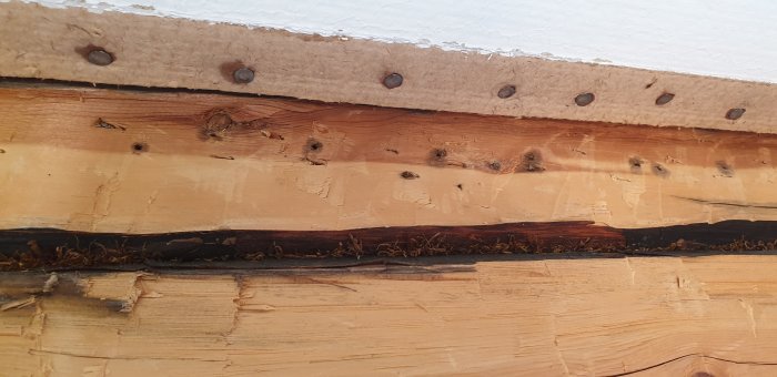 20190616_181258.jpg