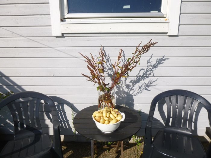 En uteplats med två svarta plaststolar och ett runt bord med en skål potatis och en vas med grenar framför en vit träpanelvägg.