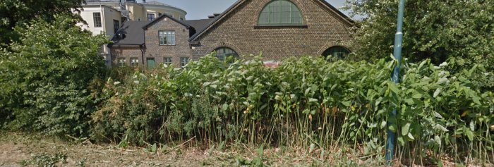 Översikt över övertäckt grön växtlighet framför tegelbyggnad vid östra infarten i Trelleborg.