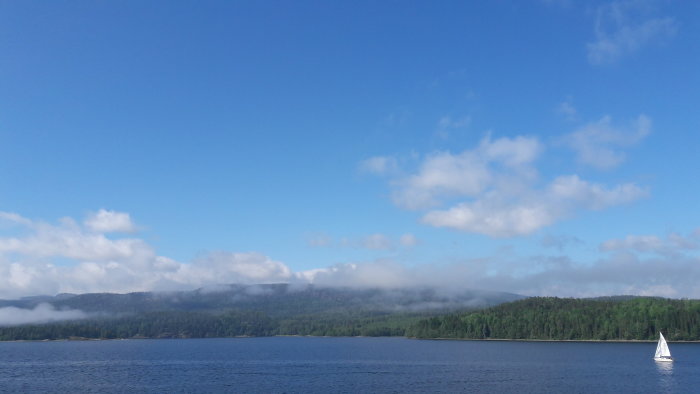 En segelbåt på en sjö med skingrande dimma över skogslandskapet på midsommarförmiddagen.