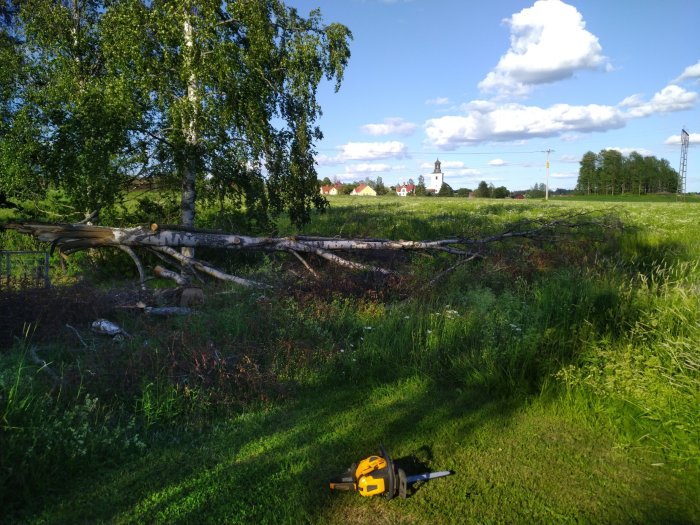 Nedfallen träd med grenar på en äng och en motorsåg i förgrunden, landskap i bakgrunden.