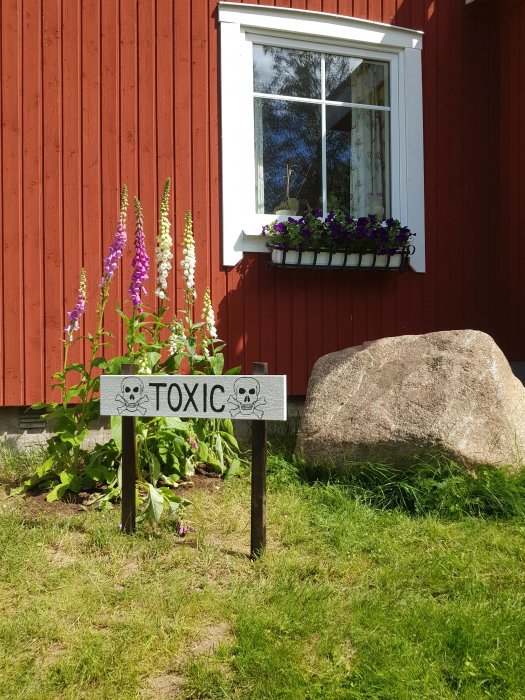 En skylt med texten "TOXIC" och skalle-symboler framför blommor vid en röd stuga med fönster.