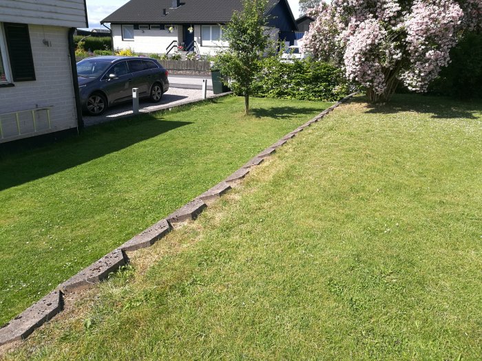Gammal stödmur av betongblock som vilar i en sluttande trädgård, med risk att rasa, intill ett blommande träd.