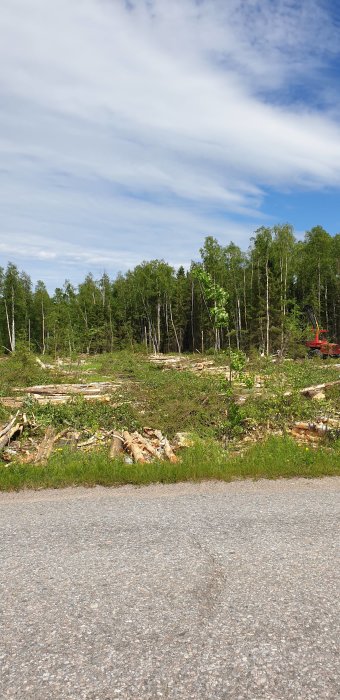 Tomt med avverkade träd och skogsmaskin, förberedd för husbygge nära Luleå.