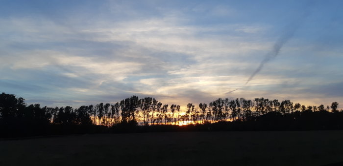 Solnedgång bakom silhuetten av träd mot en himmel med moln och kontrastrika färger.