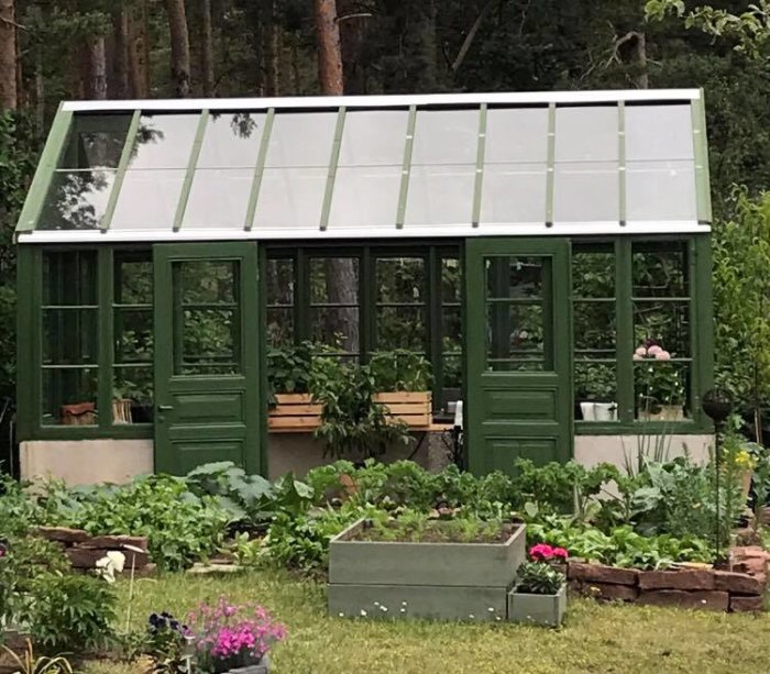 Grönt växthus med glastak och öppningsbara fönster i en trädgård med blomsterbäddar och grönsaksland.