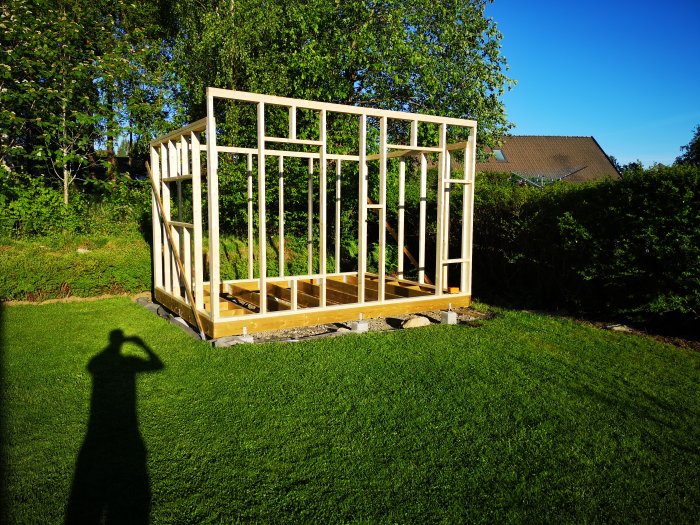 Konstruktion av en trästomme till en friggebod på en gräsmatta i solljus.