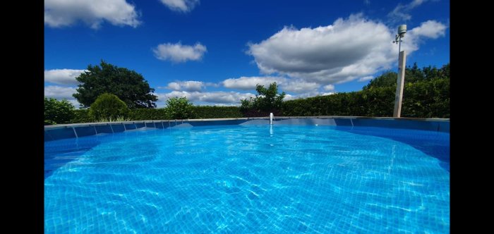 Solig hemmamiljö med en klarblå swimmingpool omgiven av gröna växter och en blå himmel.