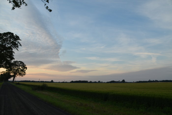 Lantväg och fält under kvällshimmel med molnstreck.