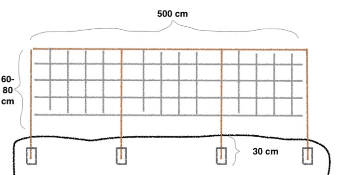 Skiss av en planerad spaljé på 60-80 cm höjd med armeringsjärn längs en 500 cm lång mur.