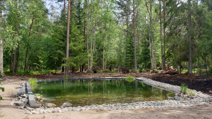 Naturlig sjöliknande damm omgiven av skog och stenbeklädd strandkant.