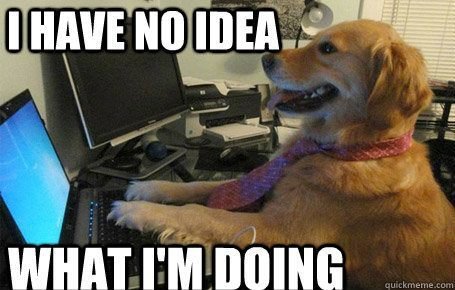 Golden retriever sitter vid ett skrivbord framför en dator med texten "I have no idea what I'm doing".