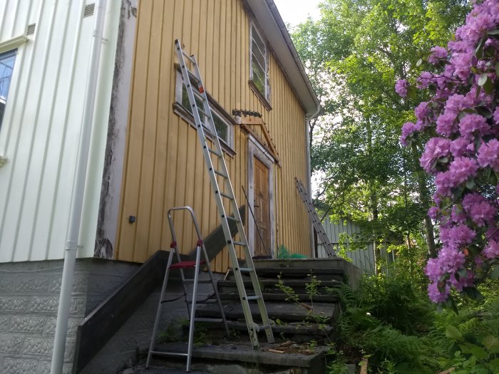 Gavel på ett gult hus med en stege lutad mot väggen och en orenoverad trappa, omgiven av grönska och blommande syrener.