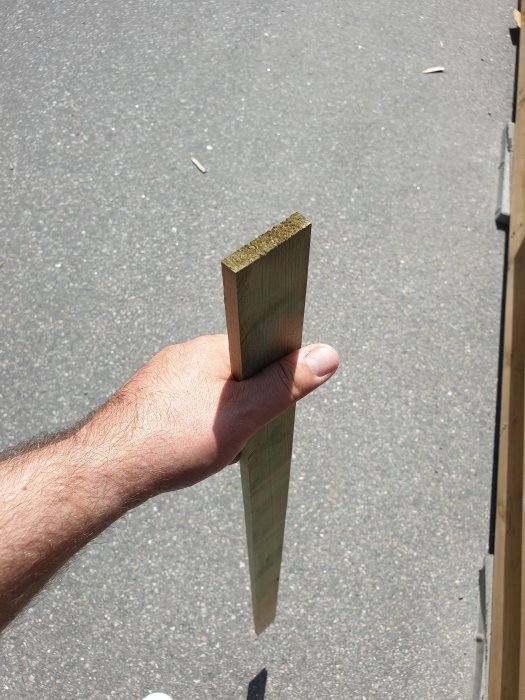 20190630_140253.jpg