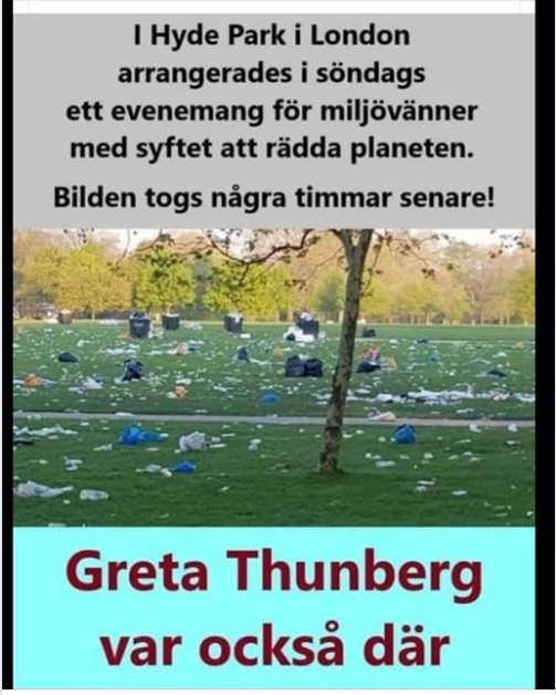 Skräpigt Hyde Park efter evenemang för miljövänner, gräsplan fylld med skräp.