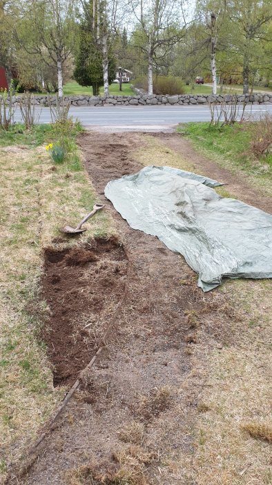 Anläggning av en rabatt längs en grusgång med en spade och en pressening för gräsavfall.