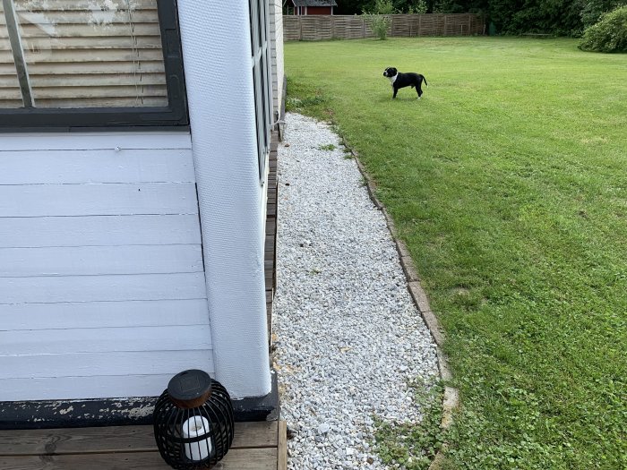Hörn av hus med befintlig trall, grusgång och gräsmatta, samt en hund på gården.