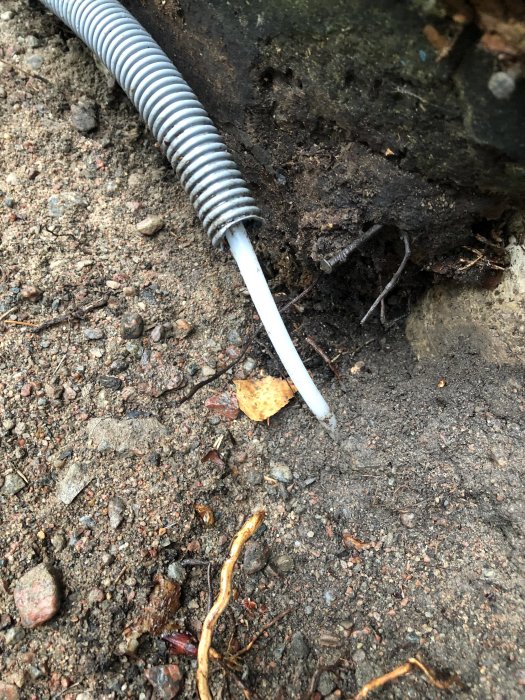 En oskyddad fiberkabel sticker ut från ett böjligt tomrör i marken vid en grävning nära en husgrund.