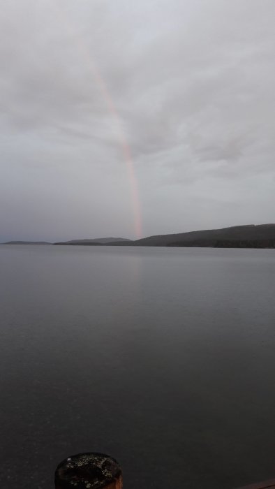 Regnbåge som skymtar över en sjö med skog bakom vid solnedgång.