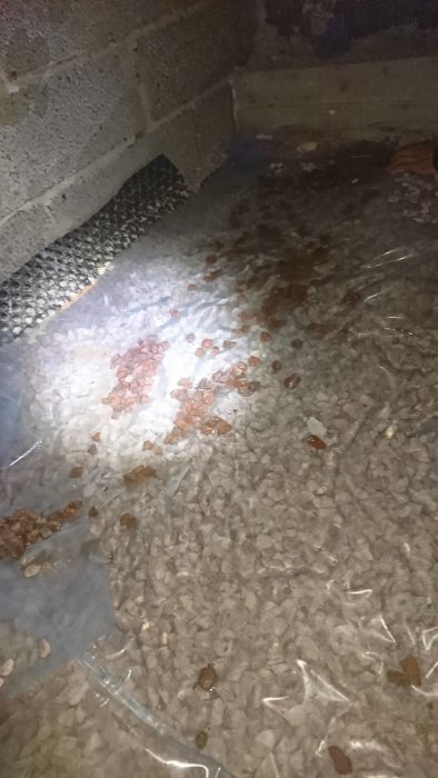 Pöl på plastfolie i krypgrund med grus och lutande altan ovanför.