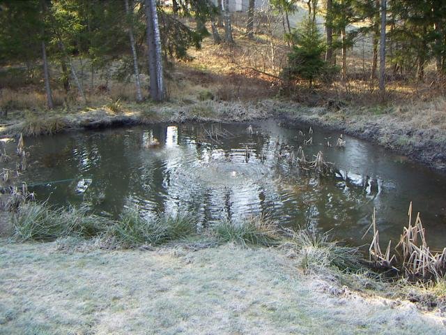 PICT0005.jpg