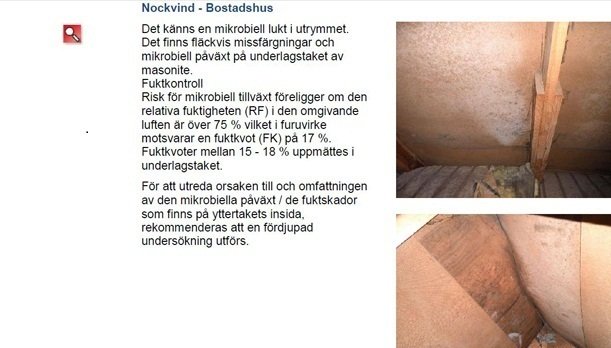 tak.JPG