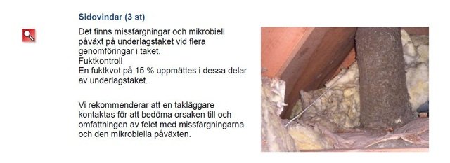 tak2.JPG