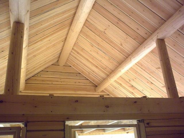 20100518986.jpg