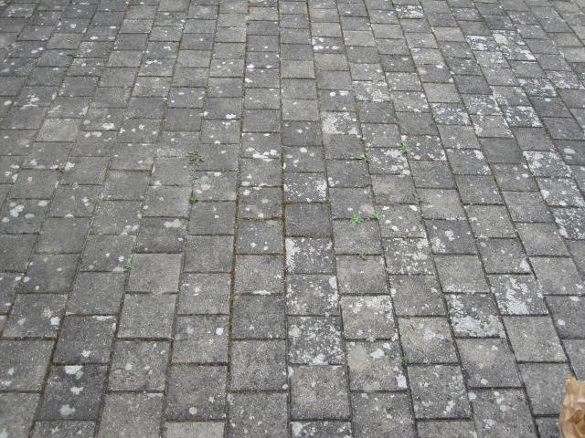 Fläckar på plattorna.jpg