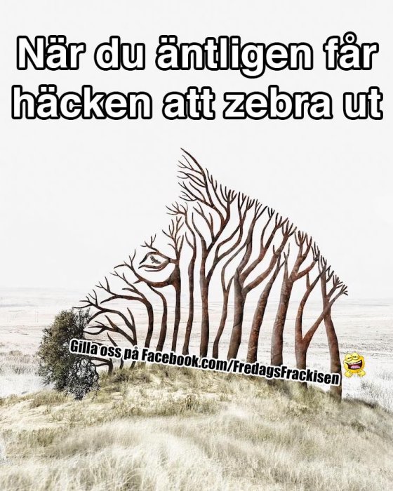 Illusion av en zebra bakom ett träd med grenar som bildar zebrans ränder, text och en emoji.