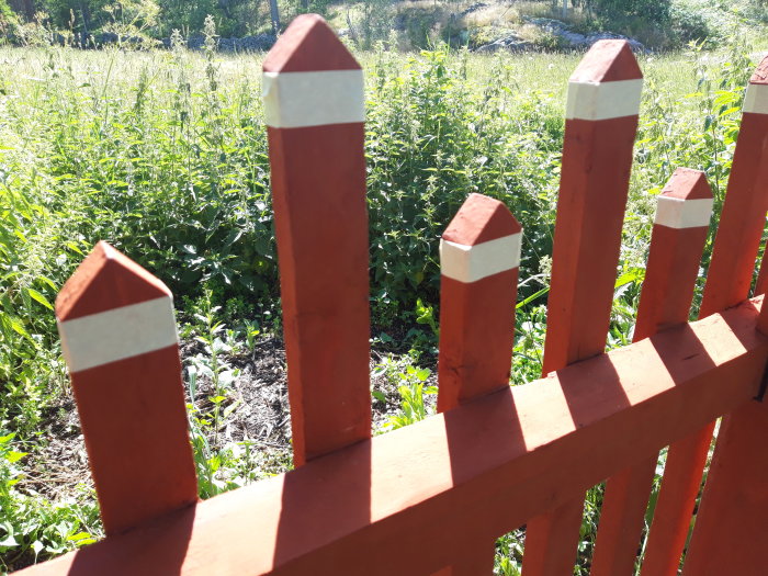 Rödmålade staketstolpar med skyddande vitmålade spetstoppar mot en bakgrund av grönska.