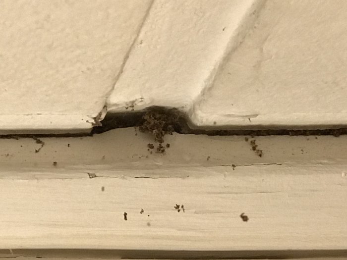Skadat trä med spår av insektsverksamhet i hörnet av en vit dörrkarm.