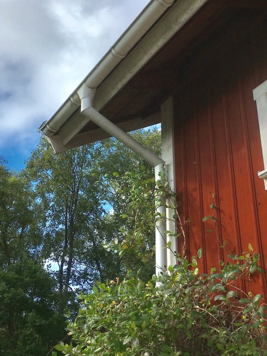 Stuprör anslutet till hängränna med omvikningskupa på en röd vägg, omgiven av grönska.