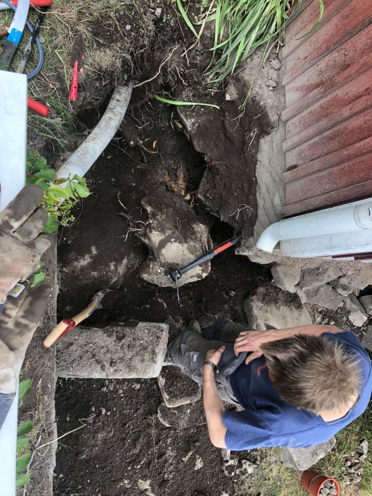 Person gräver vid husgrund för att avlägsna trädstubbe och rötter, med synlig naturstensmur och verktyg.