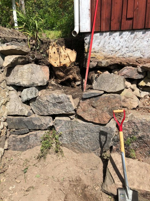 Hörn av en naturstensmur med en nyligen borttagen trädstubbe, jord och en spade mot husväggen.