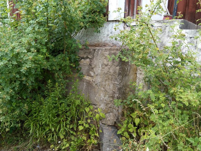 Skadad naturstensmur vid hörnet av ett gammalt hus omgivet av grönska och vegetation.
