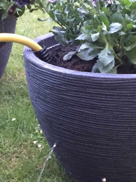 En svart självvattnande blomkruka med gröna växter och en gul påfyllningsslang för vatten.