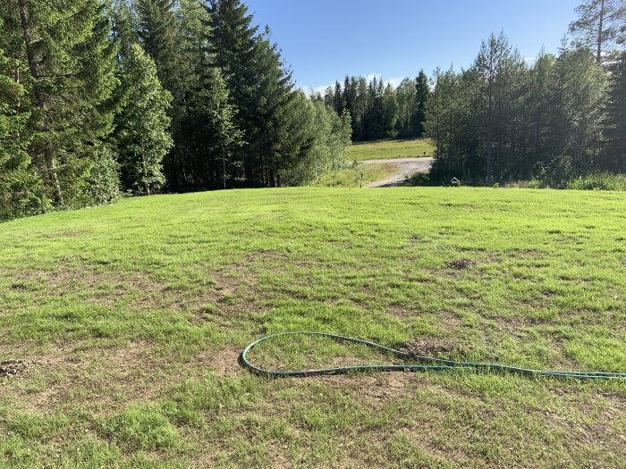 Nysått gräs på en solig tomt med träd runtom och en vattenslang i förgrunden.