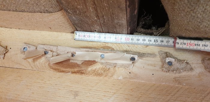 20190707_122010.jpg