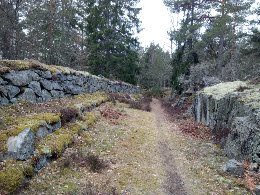 Gammal försvarsmur i sten i skogsmiljö, Myttingelinjen på Värmdö, byggd i början av 1900-talet.